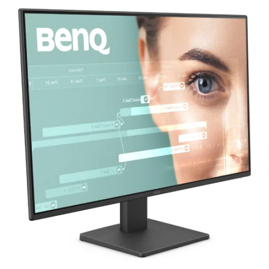 BenQ GW2491 23.8 Inch 100Hz FHD IPS Monitor