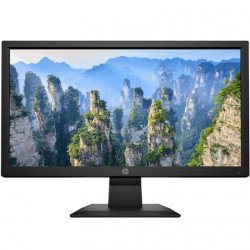 HP V20 19.5 Inch HD+ LED TN Monitor
