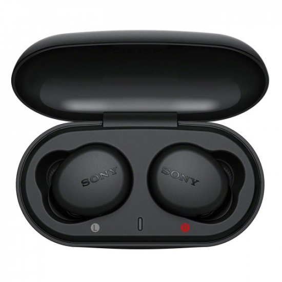 Sony WF-XB700 True Wireless Earbuds
