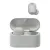 Platinum Silver