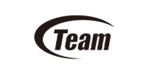Team Inn Logo Team